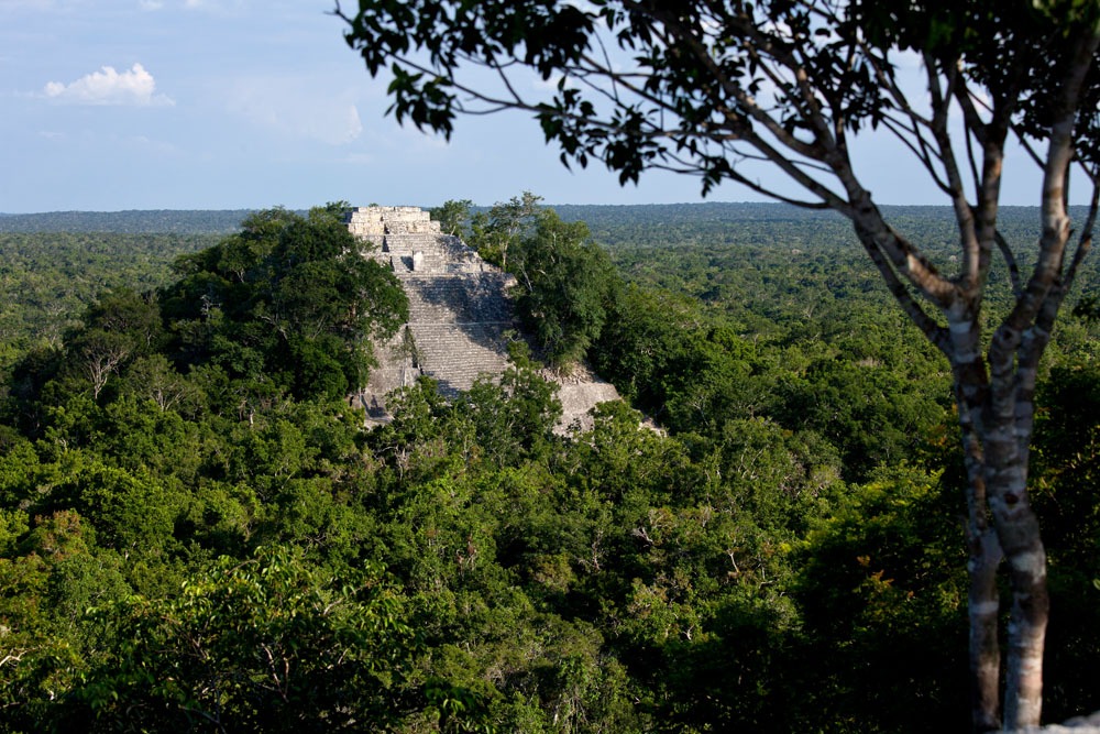 Pirámide de Calakmul - México